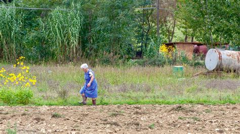 Image result for Understanding Internet Speed Test