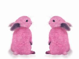 Image result for Bunnies in Spring Time