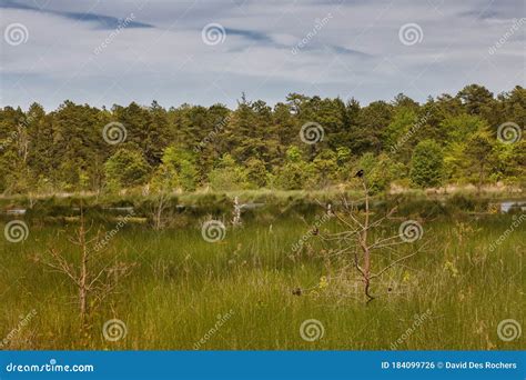 Franklin Parker Preserve stock photo. Image of preservation - 184099726