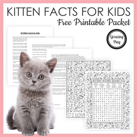 Fun Facts About Cats