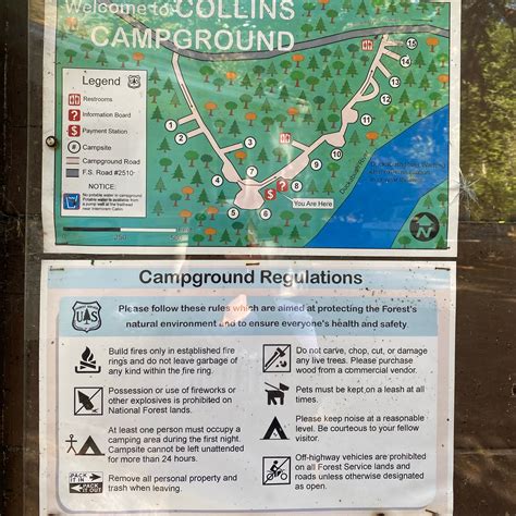 Collins Campground Camping | The Dyrt