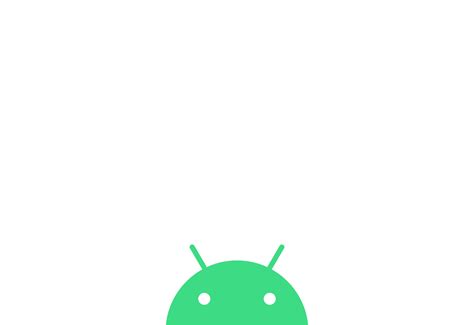 Android 11 Tutorial 的图像结果