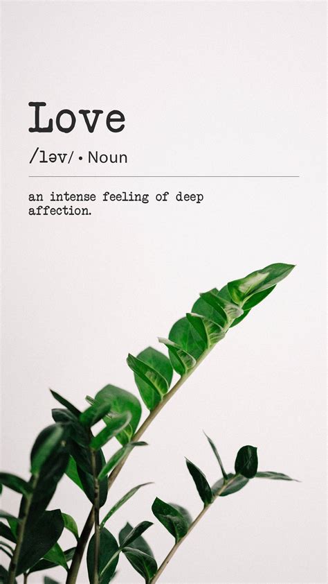 Download Minimalist Plant With Love Quote Wallpaper | Wallpapers.com