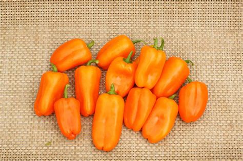 25 Facts About Orange Bell Pepper - OhMyFacts