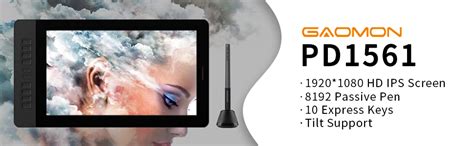 Amazon.in: Buy GAOMON Pen Display 8192 Pressure Sensitivity Drawing ...