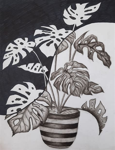 a faithful attempt: Positive Negative Space Plant Drawing