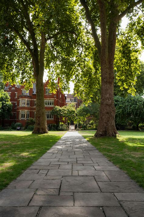 Education 4K Images 的图像结果