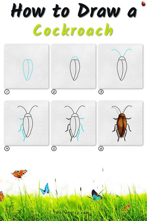 Image result for How to Draw a Cockroach Step by Step