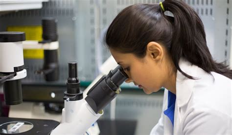 How Quad Fellowship can help Indian students pursue STEM studies in the US