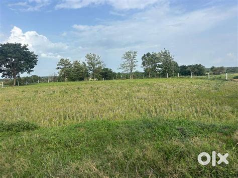 Clear Title,Old Record Available,13 Guntas Agriculture land for sale ...