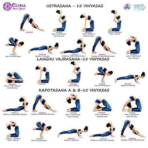 Image result for Basic Yoga Postures