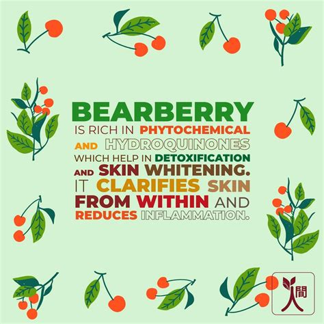 Buy NINGEN BEARBERRY UNDERARM LIGHTENING CREAM, CALENDULA & JOJOBA ...