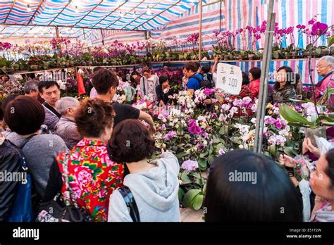 Visit the Flower Market in New Year 的图像结果