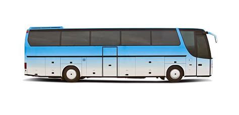Image result for Tui Bus Liver Side View