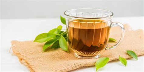 Understanding Tea Grades and Labels – What Do OP, FOP & TGFOP Really ...