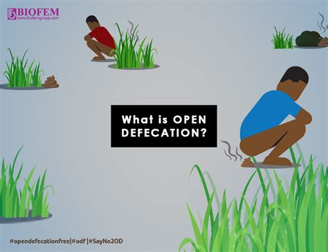 Image result for Defecation Problems