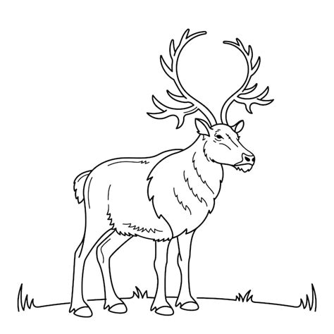 Wild animal outline Images - Free Download on Freepik