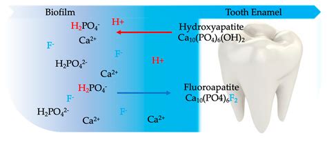 Chemical Formula Of Fluoride Toothpaste at Linda Fujiwara blog