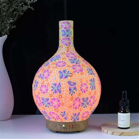 Image result for Photo Diffusers