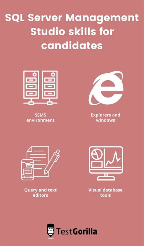 Image result for SQL Management Studio Testers