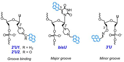 Molecules | Special Issue : Aptamers: Past, Present, and Future