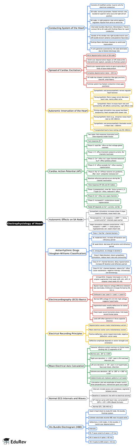 Mind Map: Electrophysiology of Heart - Gynaecology and Obstetrics ...