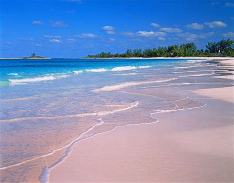 巴哈马群岛 世上最浪漫的粉色沙滩_新浪女性_新浪网