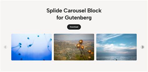 Image result for Splide Carousel JavaScript
