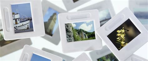 Image result for Scan Something