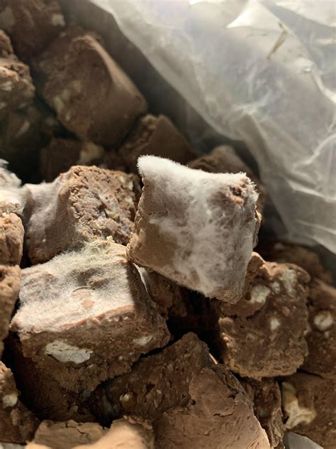 What Does Mold On Chocolate Chips Look Like at Indiana Margarot blog