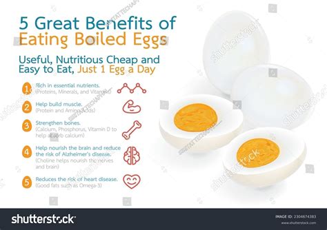 90,385 Benefits Healthy Food Images, Stock Photos & Vectors | Shutterstock