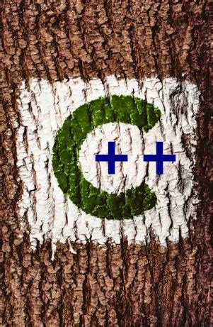 Image result for How to Make a Programming Language Using CPP