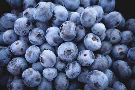 जानिए ब्लूबेरी के फायदे और नुकसान। Blueberry In Hindi. | LogintoHealth