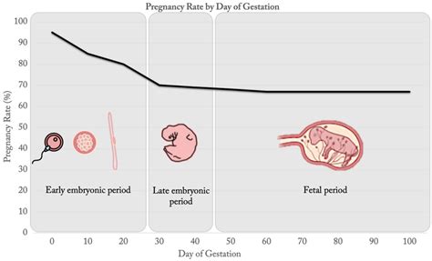Cow Calf Gestation Table at Henry Gale blog