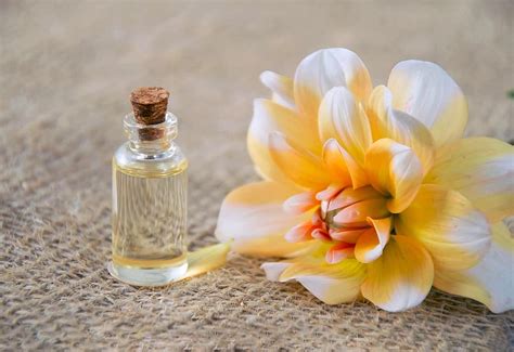 Image result for Essential Mods for Minecraft