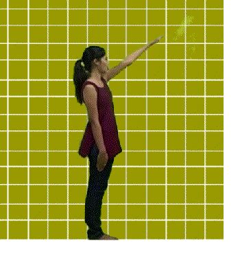 Shakshat Virtual Lab