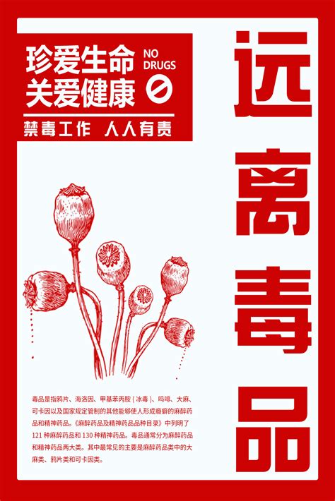 白色大气简约禁毒日626国际禁毒日公益宣传海报设计图片下载 - 觅知网