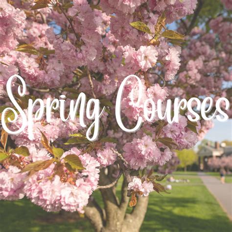 Online Free Spring Course 的图像结果