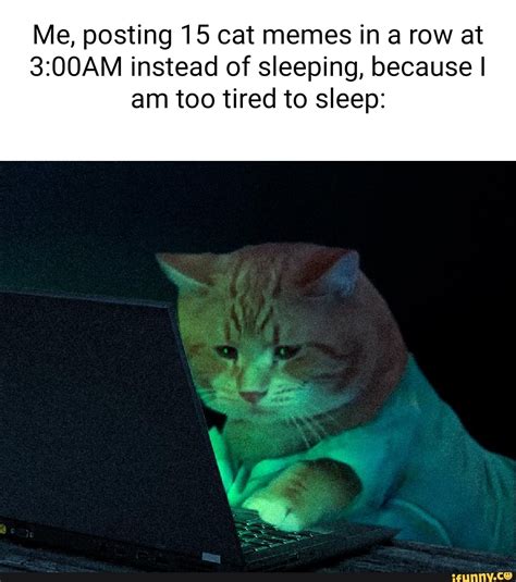 Sleepy Animal Meme