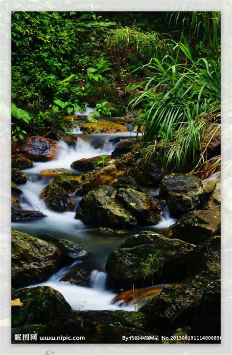 100 多张免费的“流水”和“自然”照片 - Pixabay