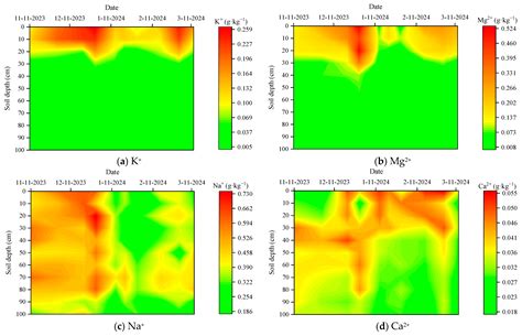Variations in Soil Salt Ions and Salinization Degree in Shallow ...
