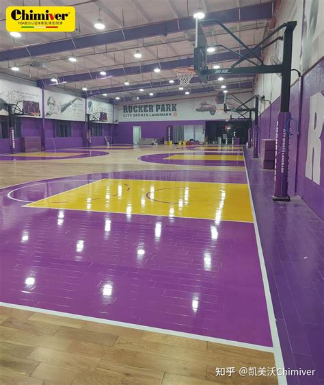 Nba场地 的图像结果