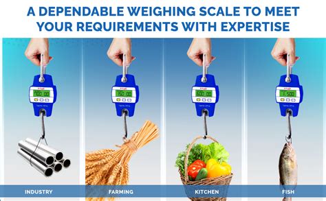 Eagle Luggage Weighing Scale, 300 kg Capacity, Accuracy 50 g, Digital ...