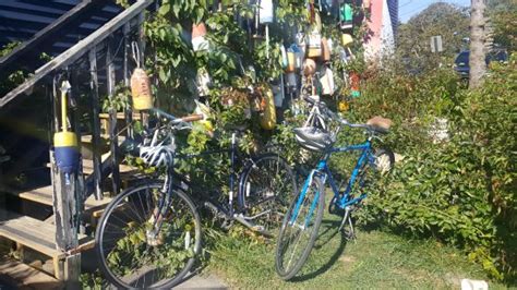 Kennebunkport Bicycle Company - 2021 What to Know Before You Go (with ...