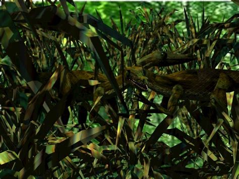 Compy 的图像结果