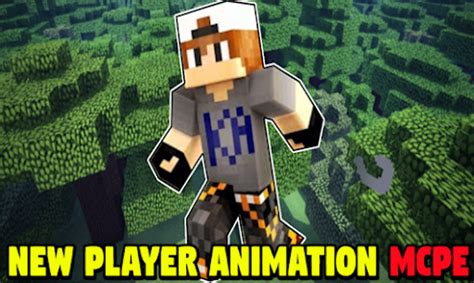 Image result for Player Animation MC First Person Java