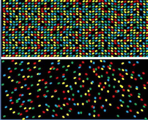 University of Kerala