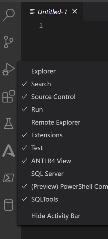 vs Code Debug Icon 的图像结果