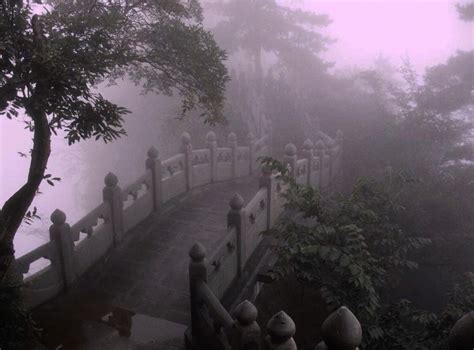 Gephyrophobia fear of bridges en 2025