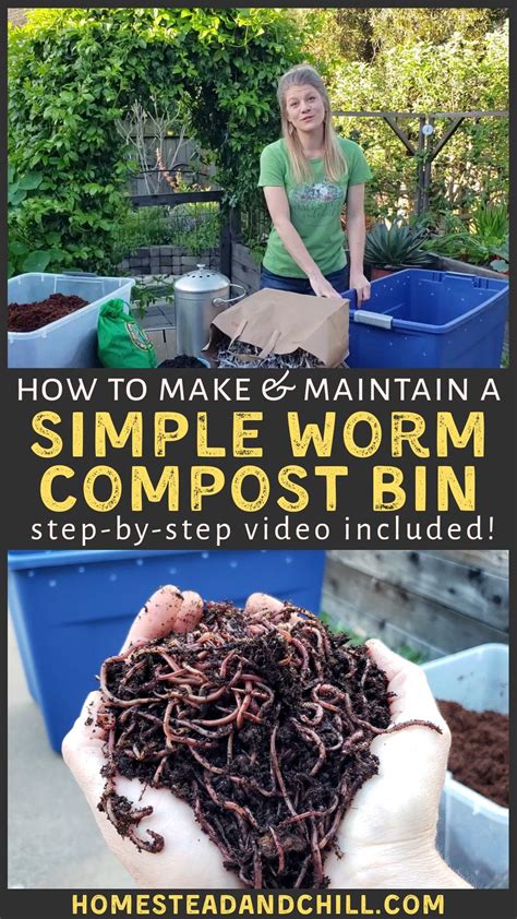 Image result for Worm Composting Tips